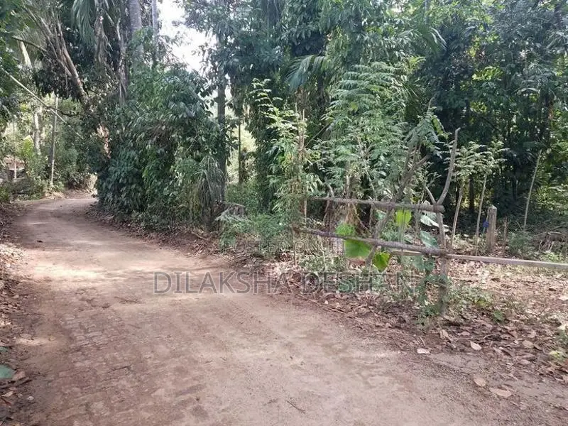 Green Paradise , Badalkumbura,Monaragala Land for Sale