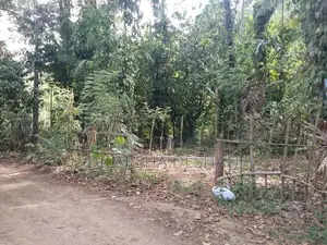 Green Paradise , Badalkumbura,Monaragala Land for Sale