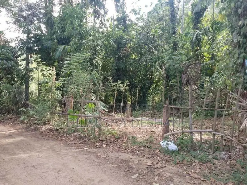 Green Paradise , Badalkumbura,Monaragala Land for Sale