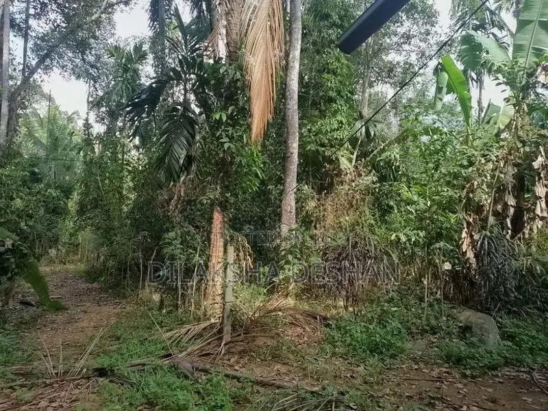 Green Paradise , Badalkumbura,Monaragala Land for Sale