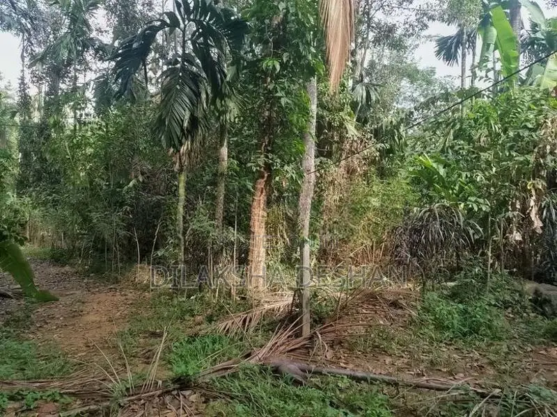 Green Paradise , Badalkumbura,Monaragala Land for Sale