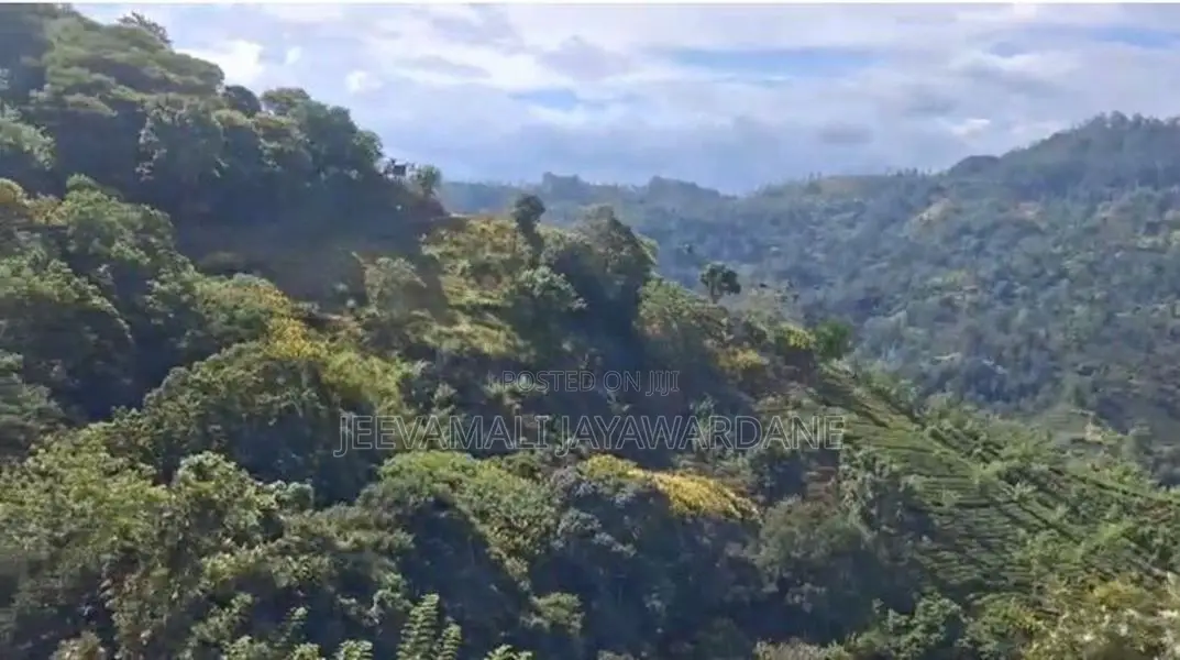 100 Perches of Land for Sale – Ella