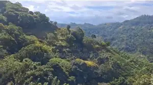 100 Perches of Land for Sale – Ella