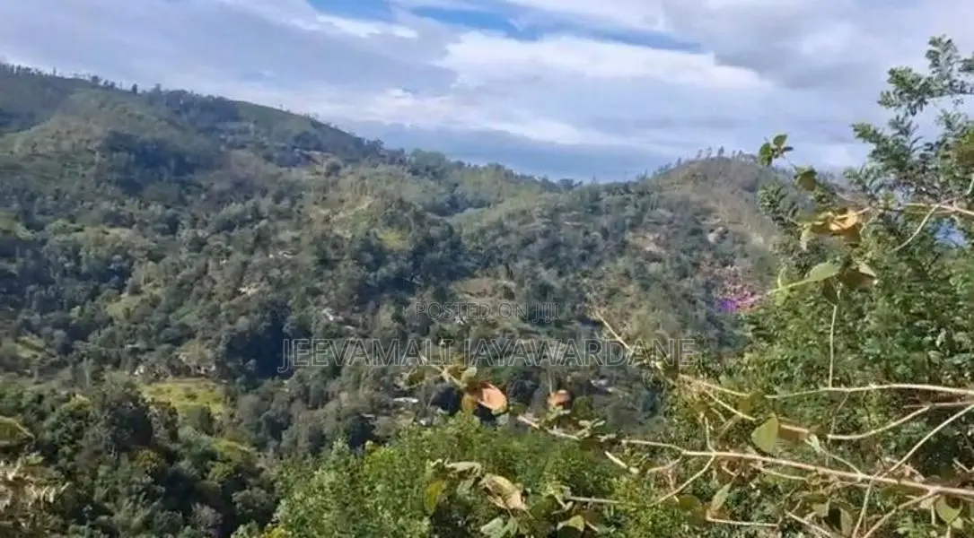 100 Perches of Land for Sale – Ella