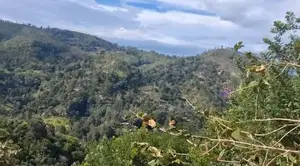 100 Perches of Land for Sale – Ella
