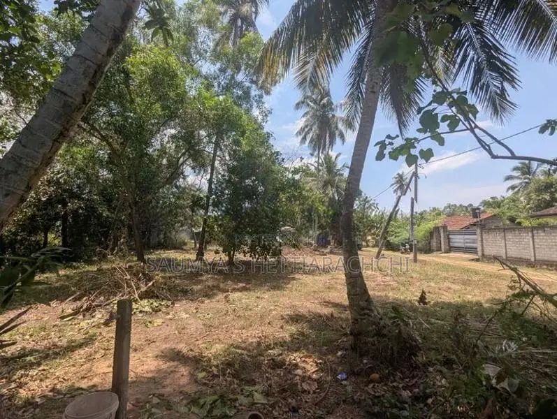 Land For Sale In Negombo