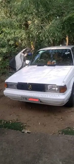 Nissan Sunny 1989