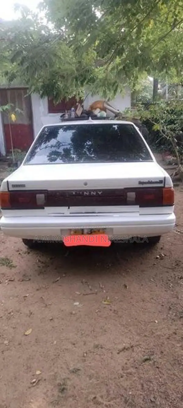 Nissan Sunny 1989