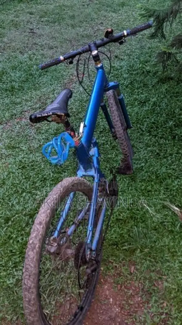 Shimano Bicycle