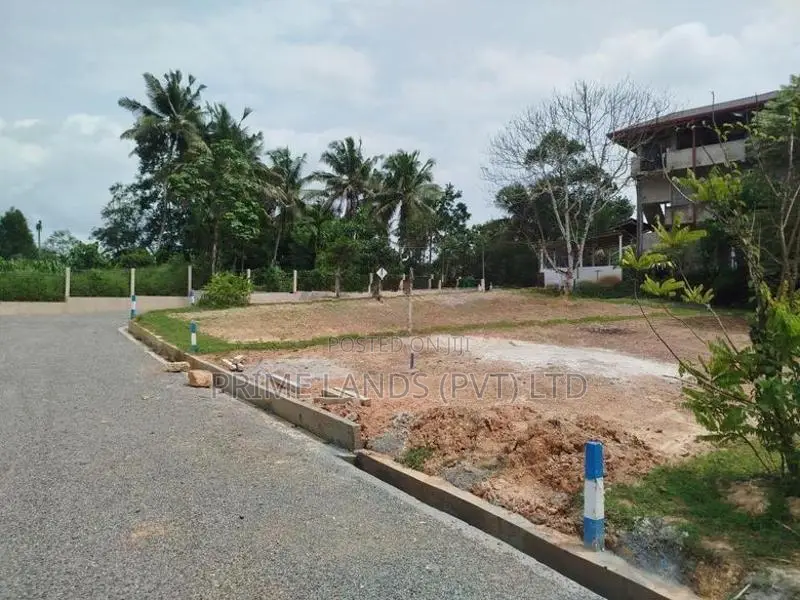හෝමාගම බෙරුකැටිය බිම් කොටස් විකිණීමට
