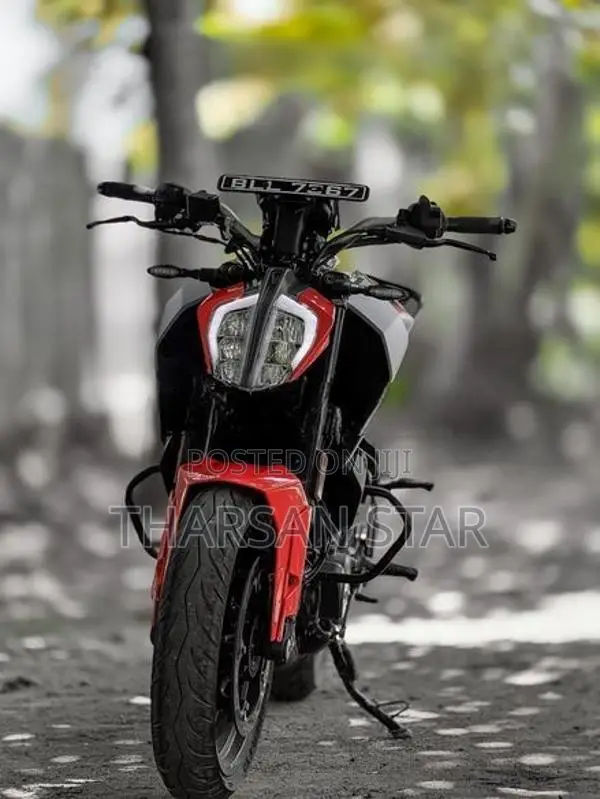 KTM Duke 2026