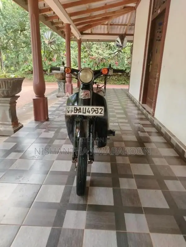 Honda Little Cub 2013