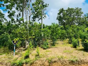 Land for Sale Ambalangoda