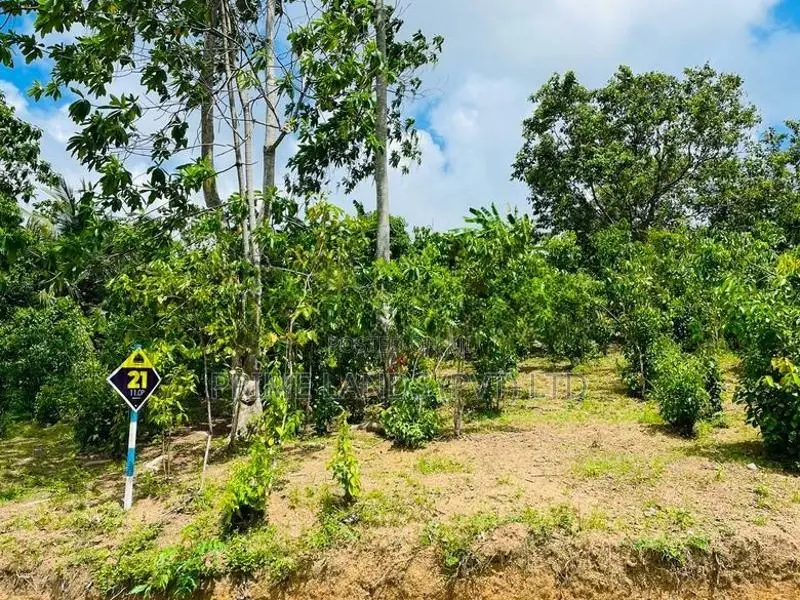 Land for Sale Ambalangoda