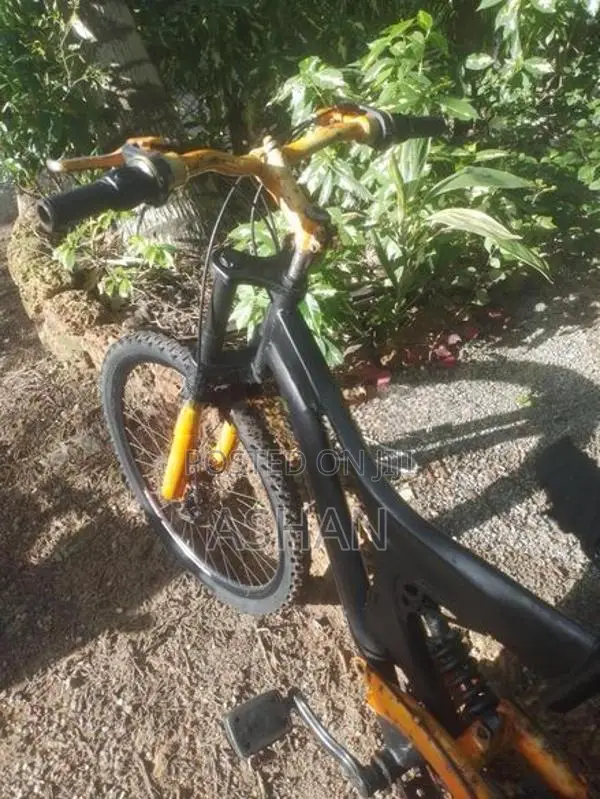 Mountain Bike