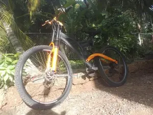 Mountain Bike