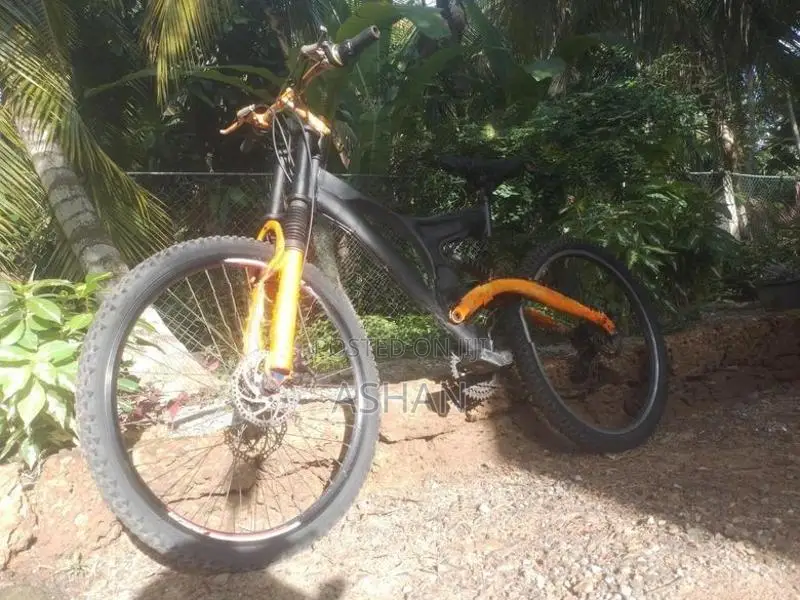 Mountain Bike