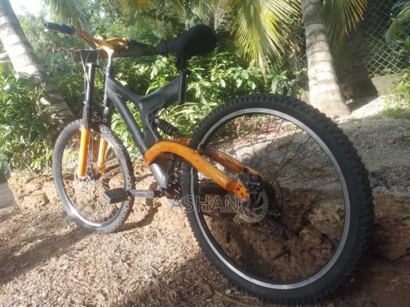 Mountain Bike