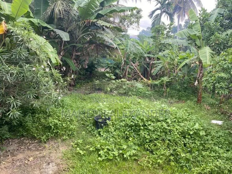 පර්චස් 10 ක අගනා ඉඩමක් විකිණීමට කැළනිය අවටින්
