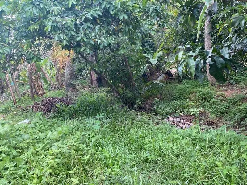 පර්චස් 10 ක අගනා ඉඩමක් විකිණීමට කැළනිය අවටින්