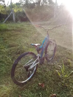 Lumala Bicycle Japan