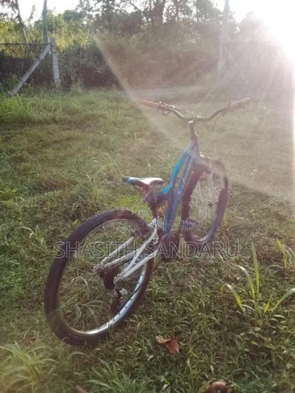 Lumala Bicycle Japan