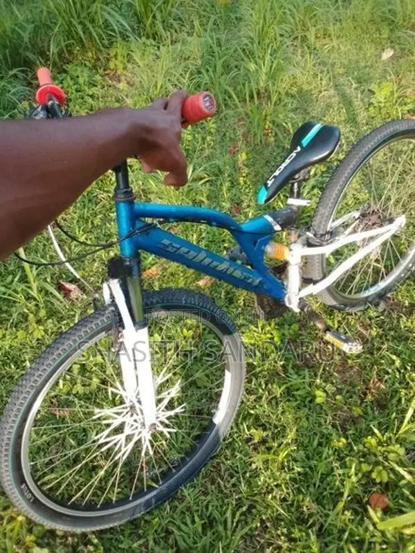 Lumala Bicycle Japan