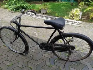 Raleigh Bicycle