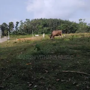 Premium Land for Sale - Weligama
