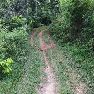 Premium Land for Sale - Weligama