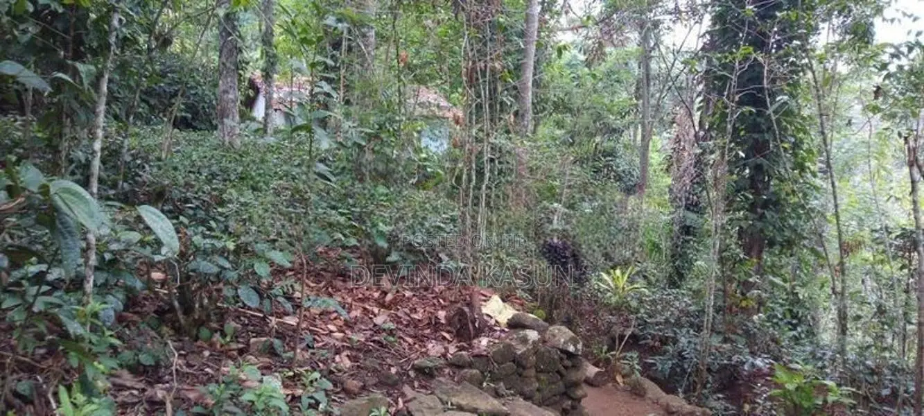 Land With Two Houses For Sale In Bandarawela