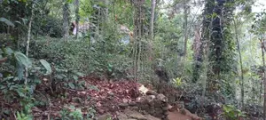 Land With Two Houses For Sale In Bandarawela