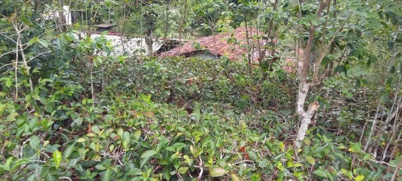 Land With Two Houses For Sale In Bandarawela