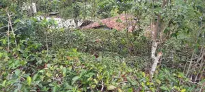 Land With Two Houses For Sale In Bandarawela