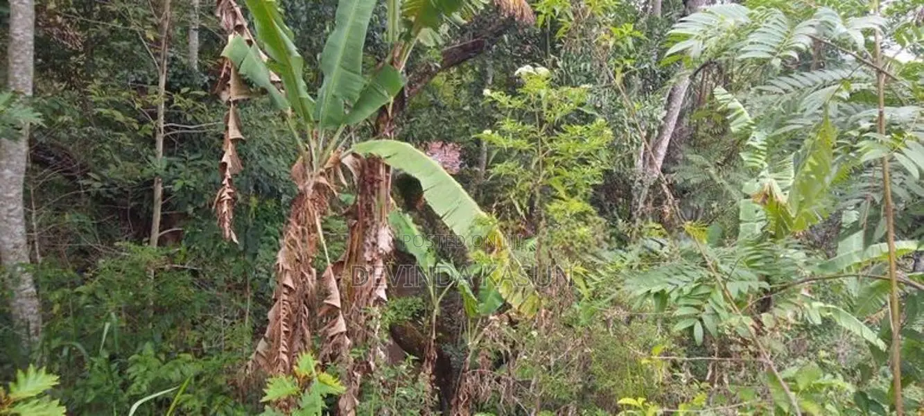 Land With Two Houses For Sale In Bandarawela