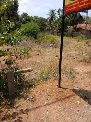 காணி வாடகைக்கு தாவடி