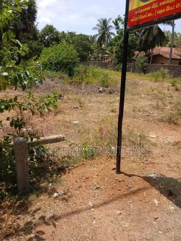 காணி வாடகைக்கு தாவடி