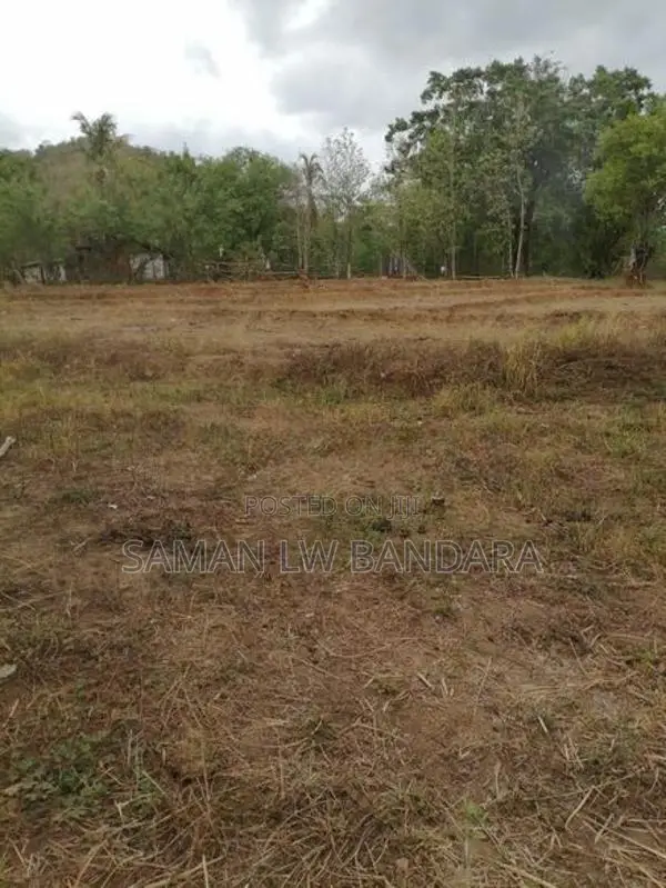 අක්කර දෙකක ඉඩම මහියංගන ,46 දෙහිගොල්ල සොරබර වැව පාර