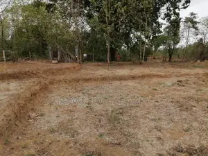 අක්කර දෙකක ඉඩම මහියංගන ,46 දෙහිගොල්ල සොරබර වැව පාර