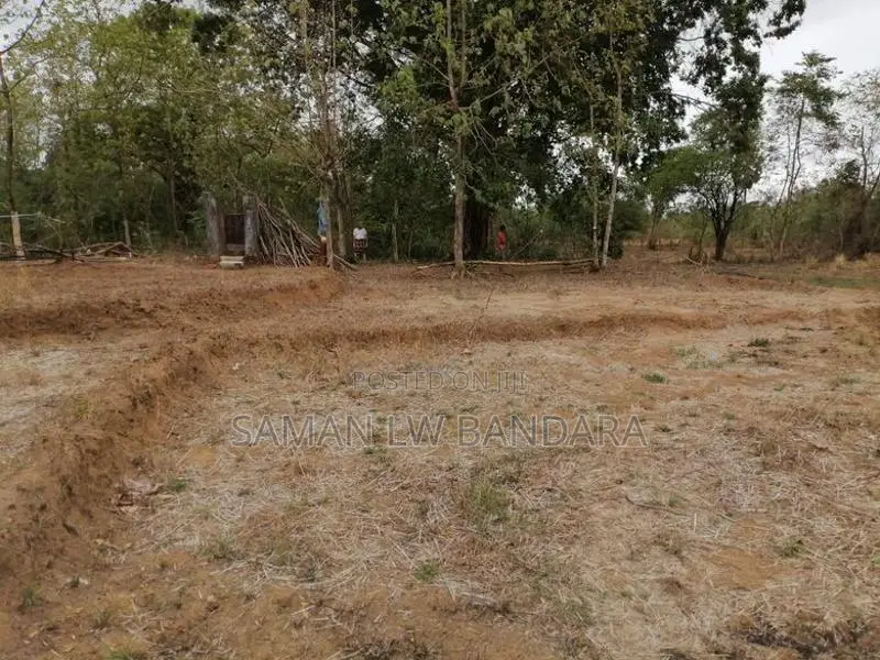 අක්කර දෙකක ඉඩම මහියංගන ,46 දෙහිගොල්ල සොරබර වැව පාර