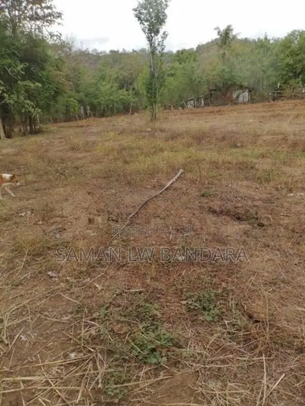 අක්කර දෙකක ඉඩම මහියංගන ,46 දෙහිගොල්ල සොරබර වැව පාර