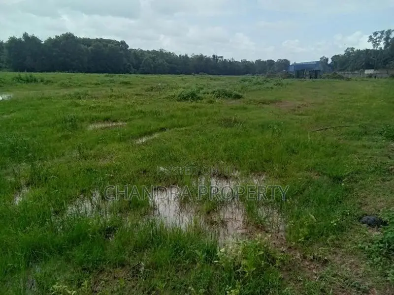 Land For Sale in Ja -Ela