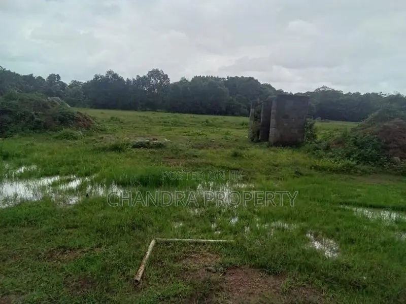 Land For Sale in Ja -Ela