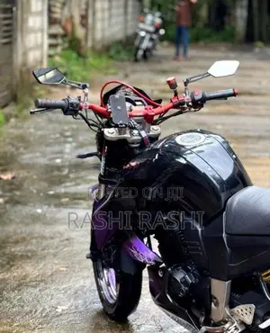 Yamaha FZS V1 2010