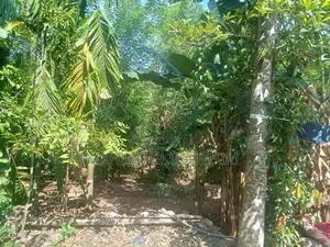 Land for Sale in Ampara