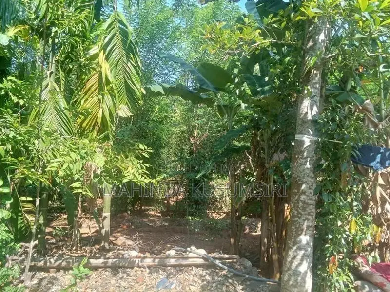 Land for Sale in Ampara