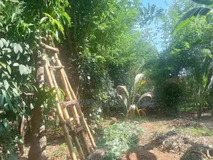 Land for Sale in Ampara