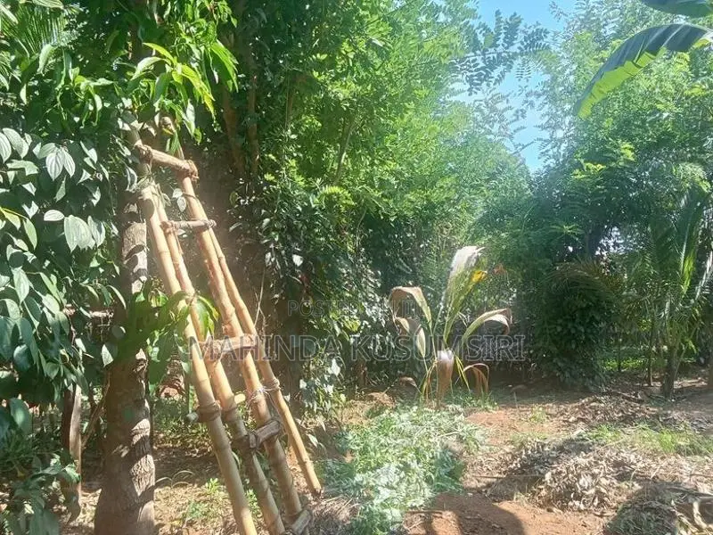 Land for Sale in Ampara