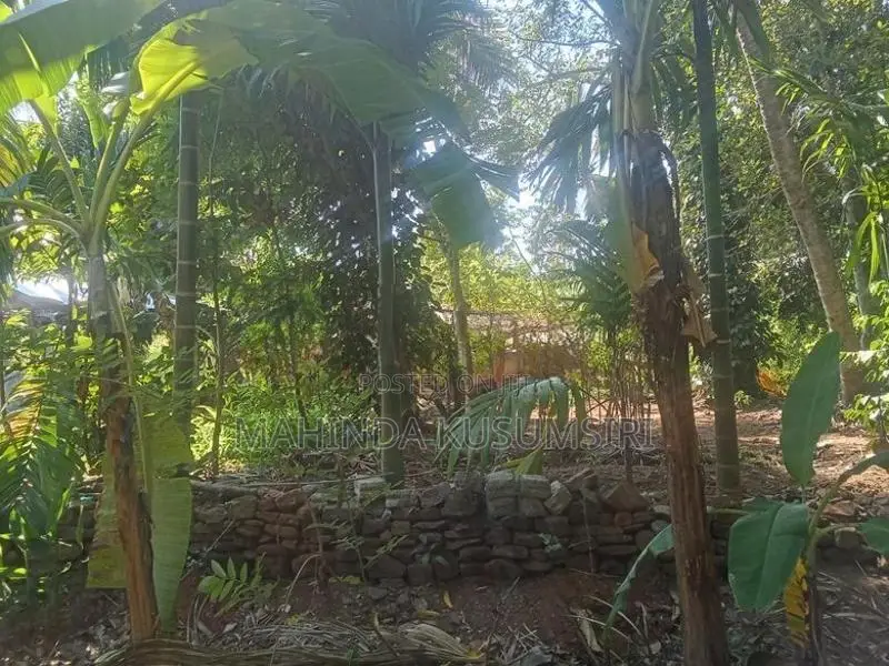 Land for Sale in Ampara