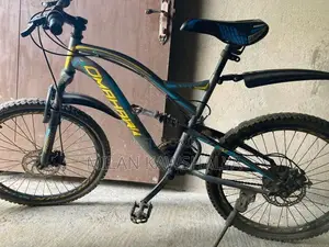 Tomhawk Bicycle